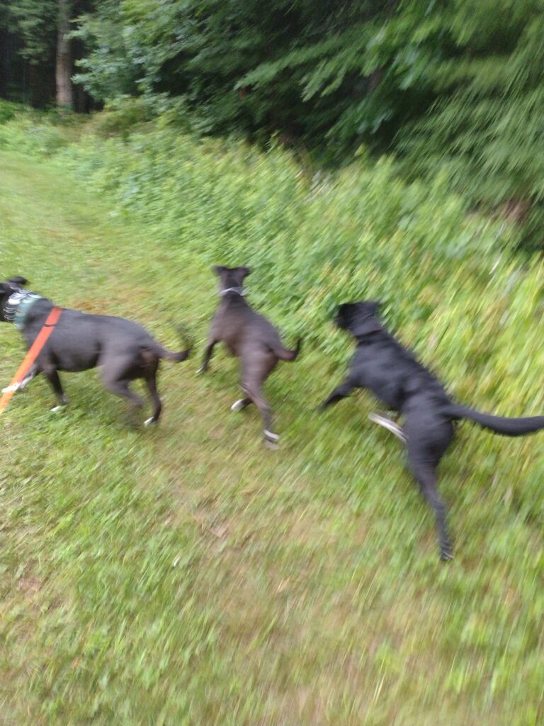 Walking In The Rain!