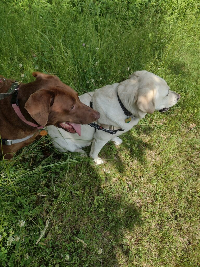 Bones And Riley On The Move!