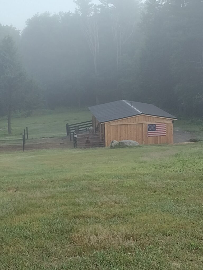 Hazy Morning At The Homestead