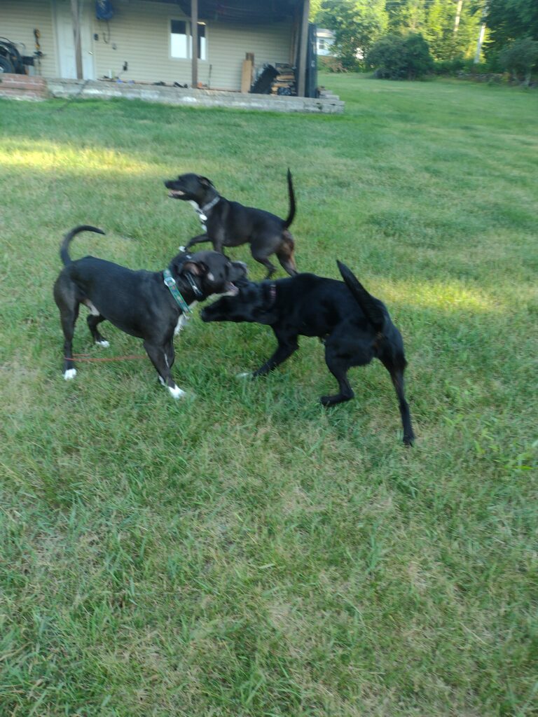 Party Of Three!