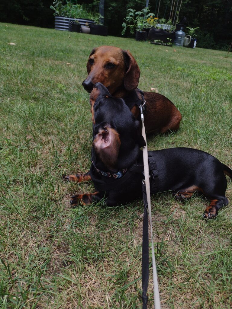 Two Peas In A Pod!
