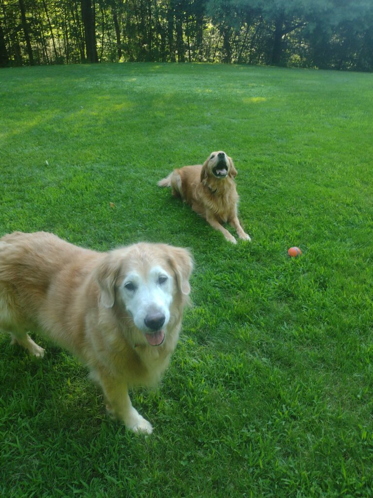 Let’s Play Ball!