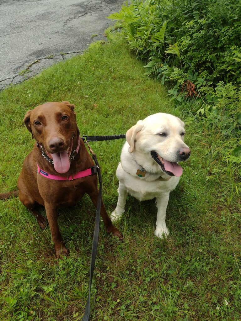 Wonderful Wednesday Walk!