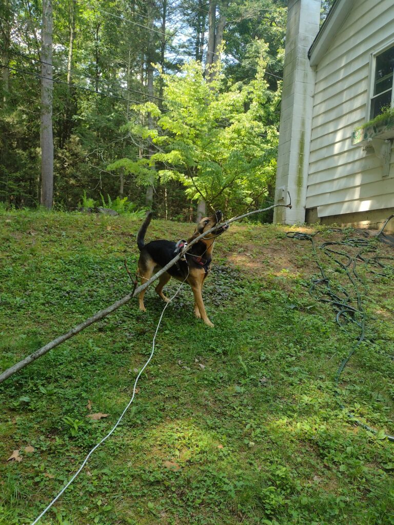 Walk Softly And Carry A Big Stick