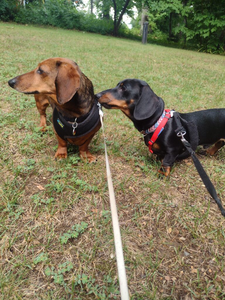 So You Think He Went That Way!