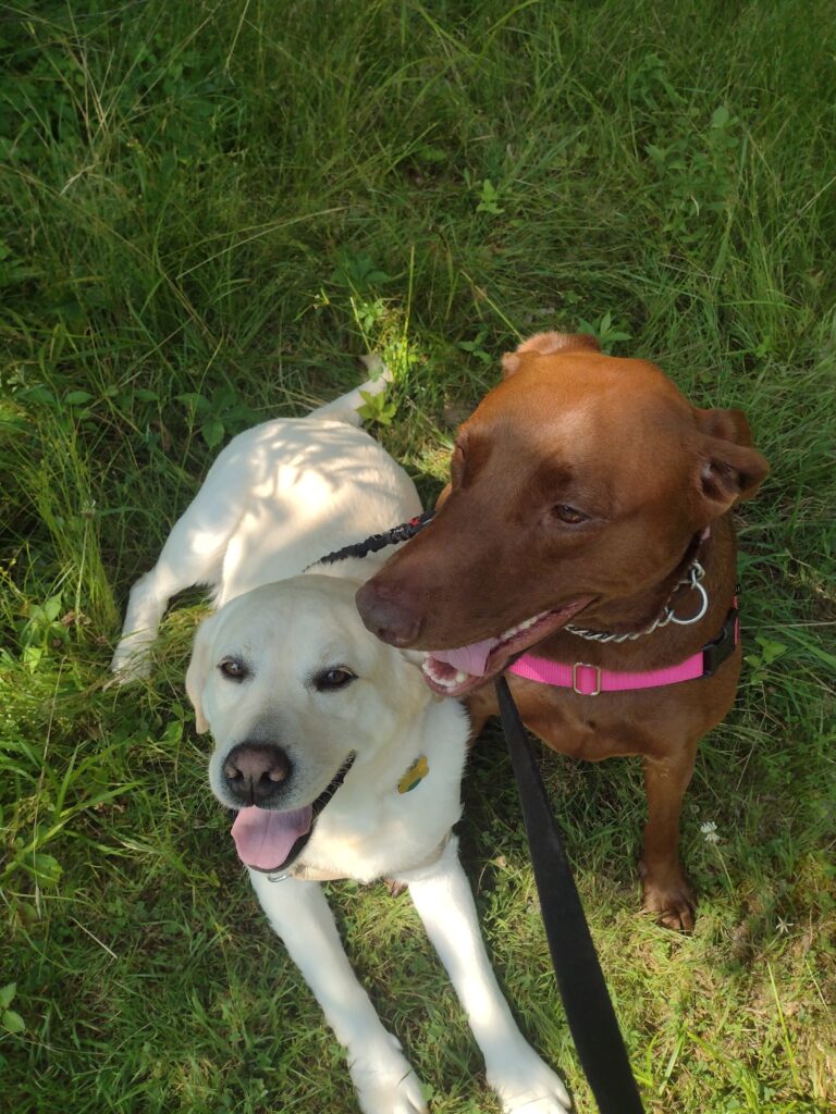 Sunshiny Saturday!