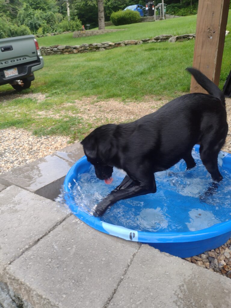 They Were Splishing And Splashing!