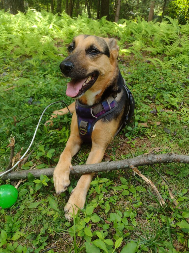 A Very Happy Polly