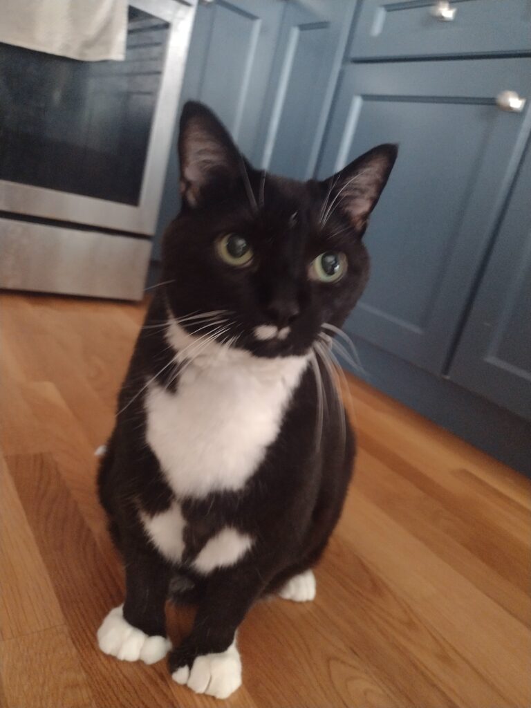 A Charming Charlie!