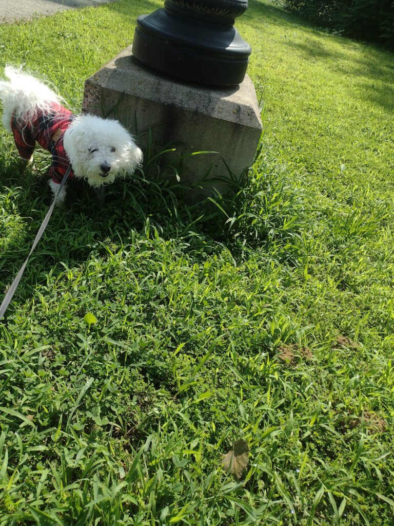 Milo On The Move!