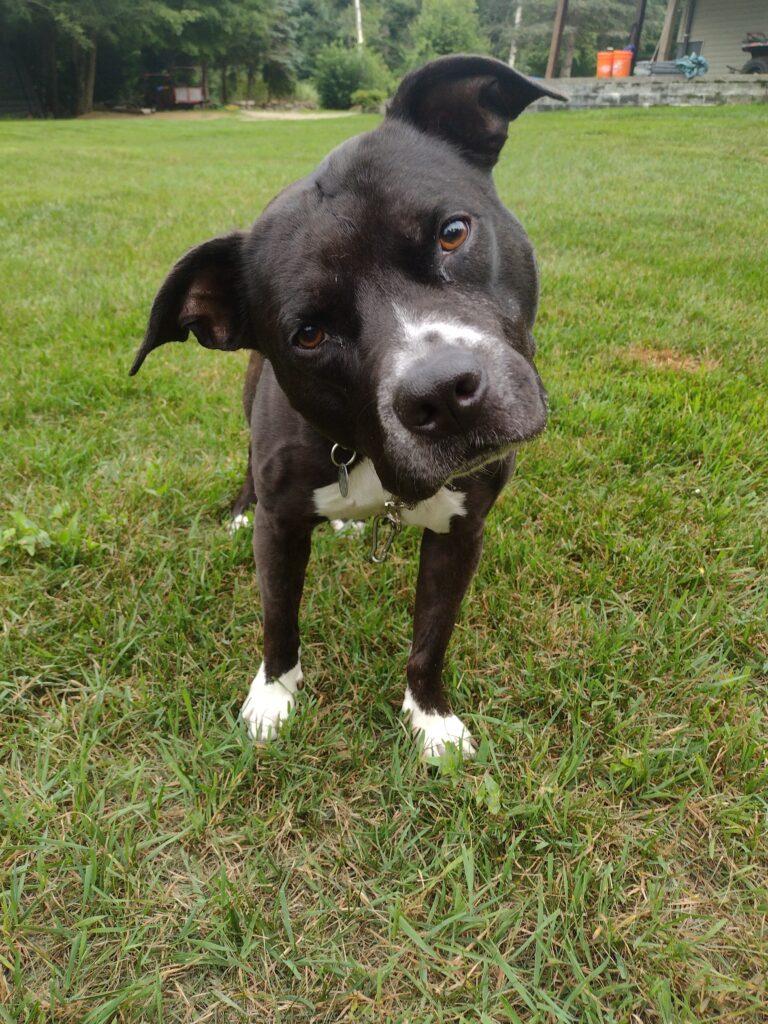 Gus Is Such A Sweetheart!