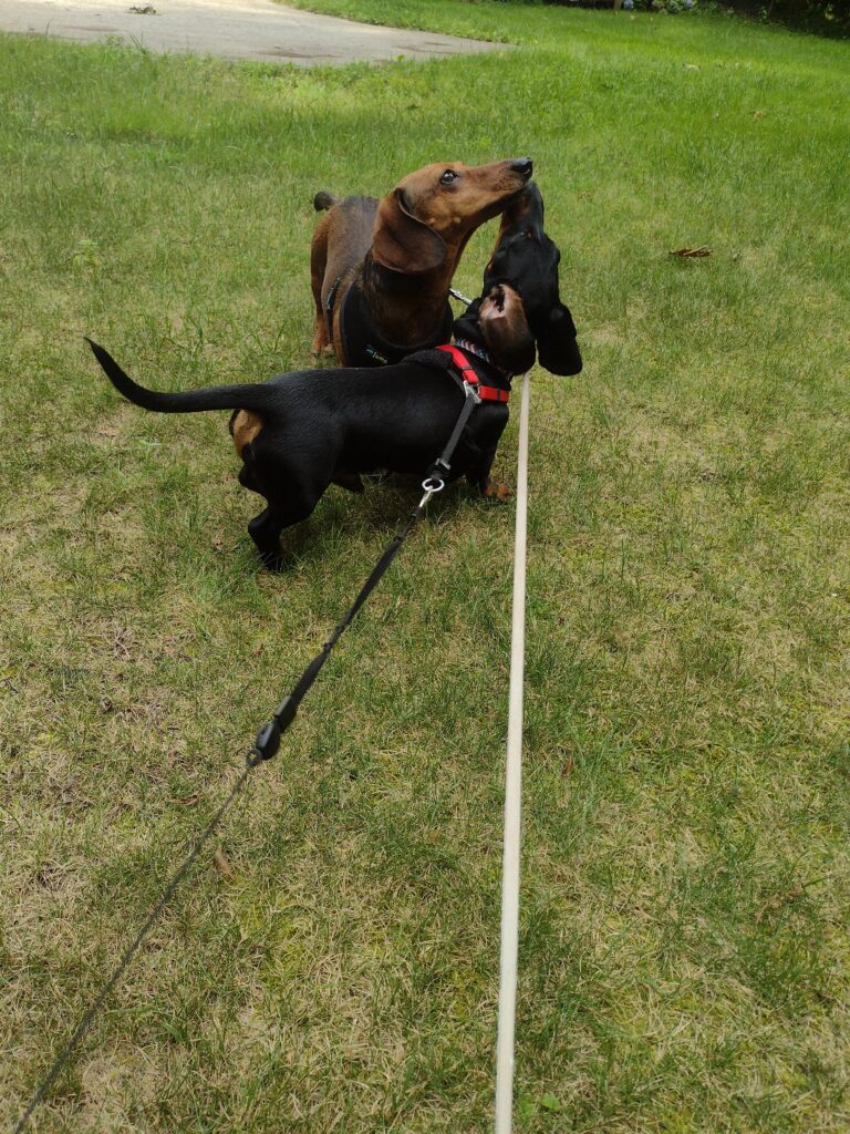 These Dudes Are Becoming The Best Buddies