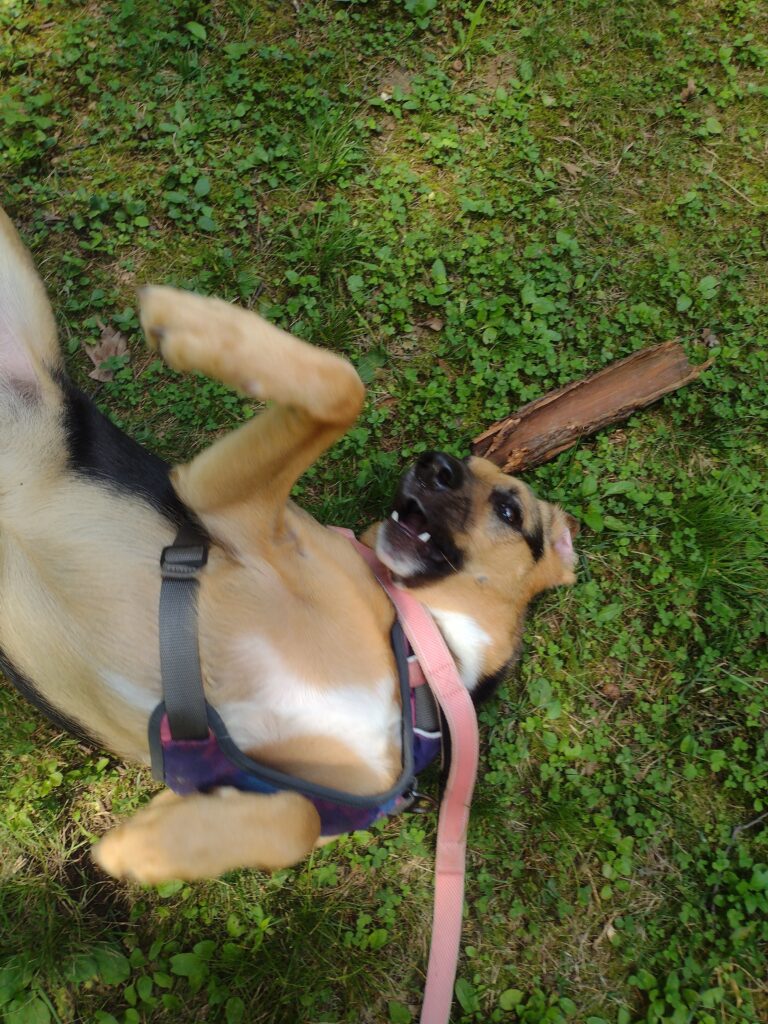 A Wiggling Good Time
