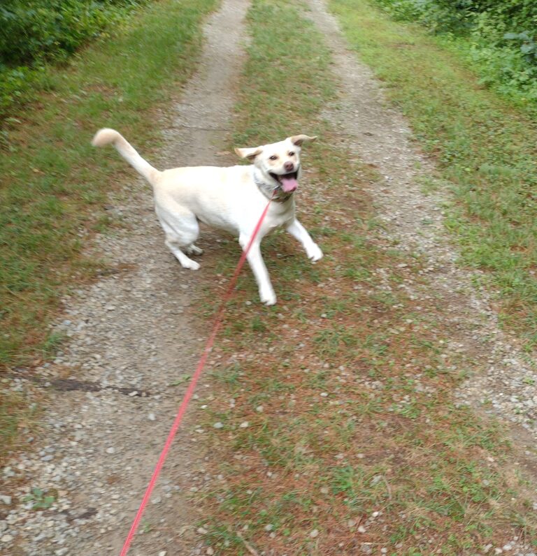 Adventure Day Number Two