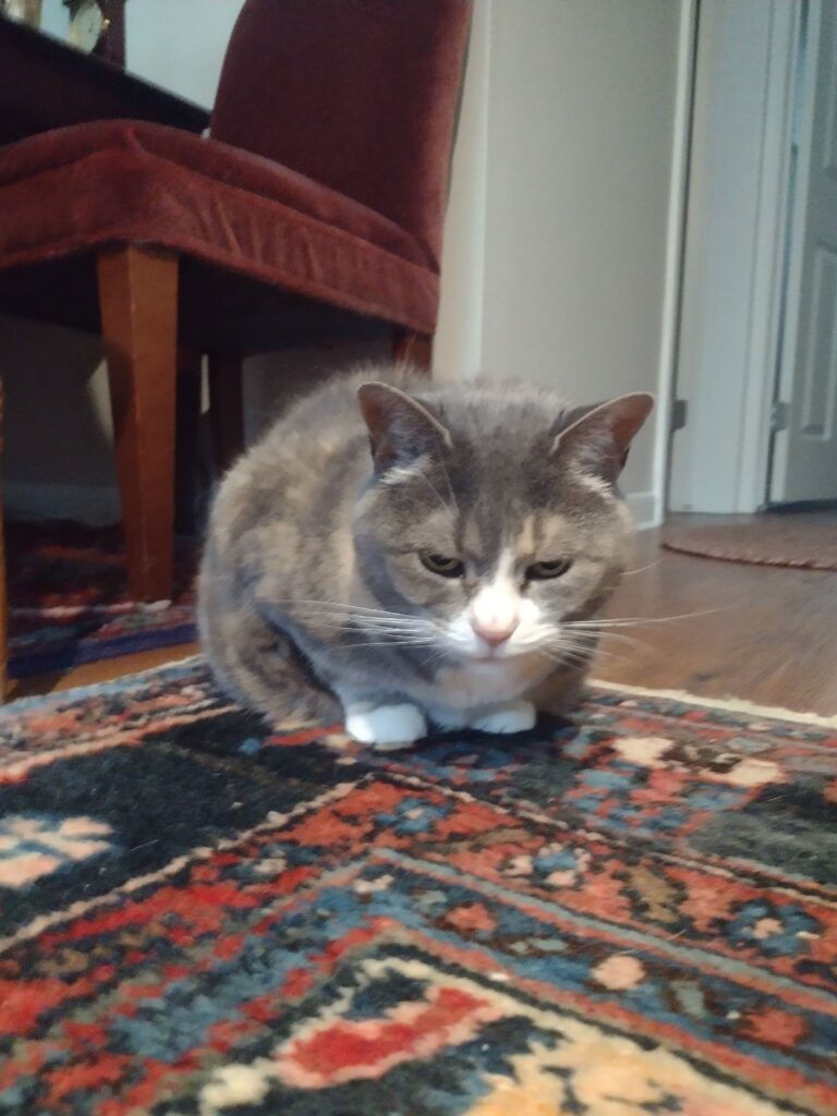 An Afternoon Visit With A Sweet Lady