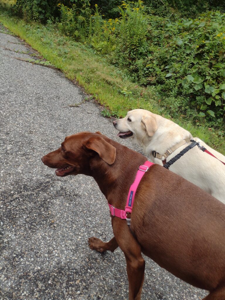 Bones And Riley On The Move