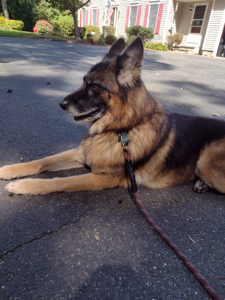 Noon Time With Nena
