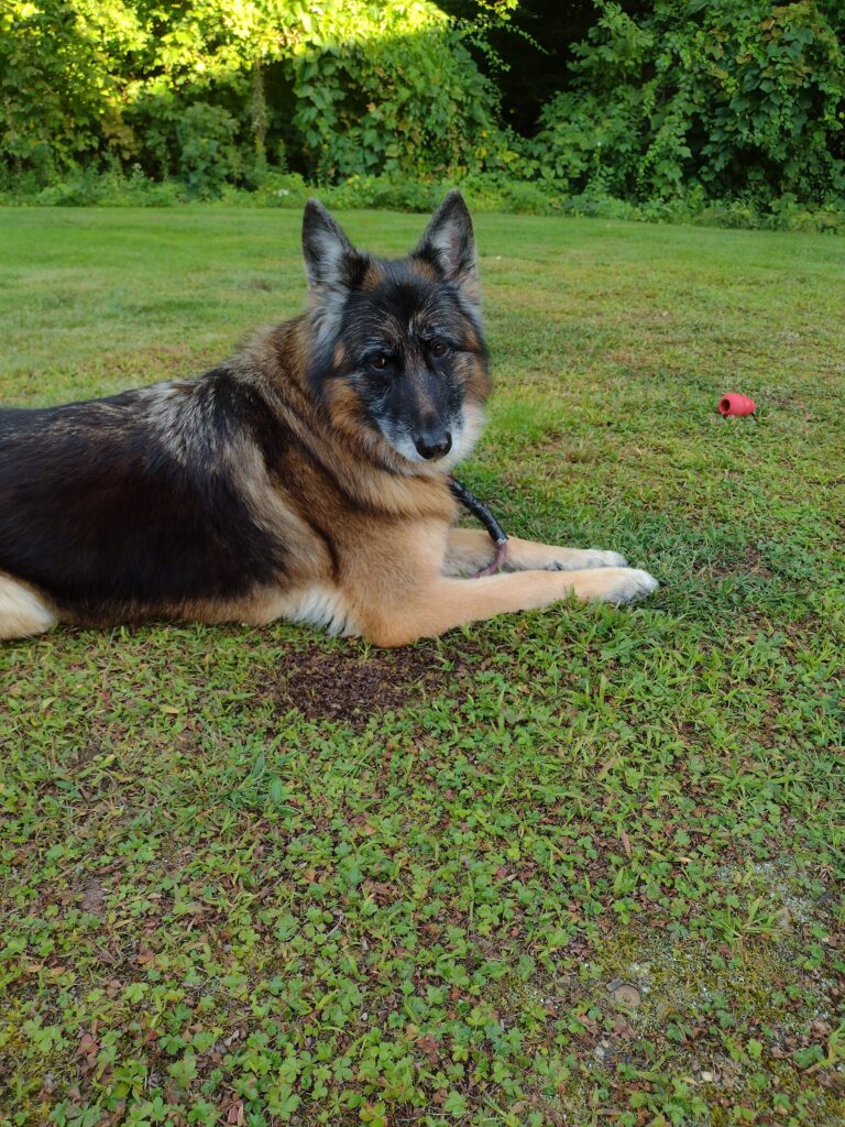 Backyard Fun With Nena