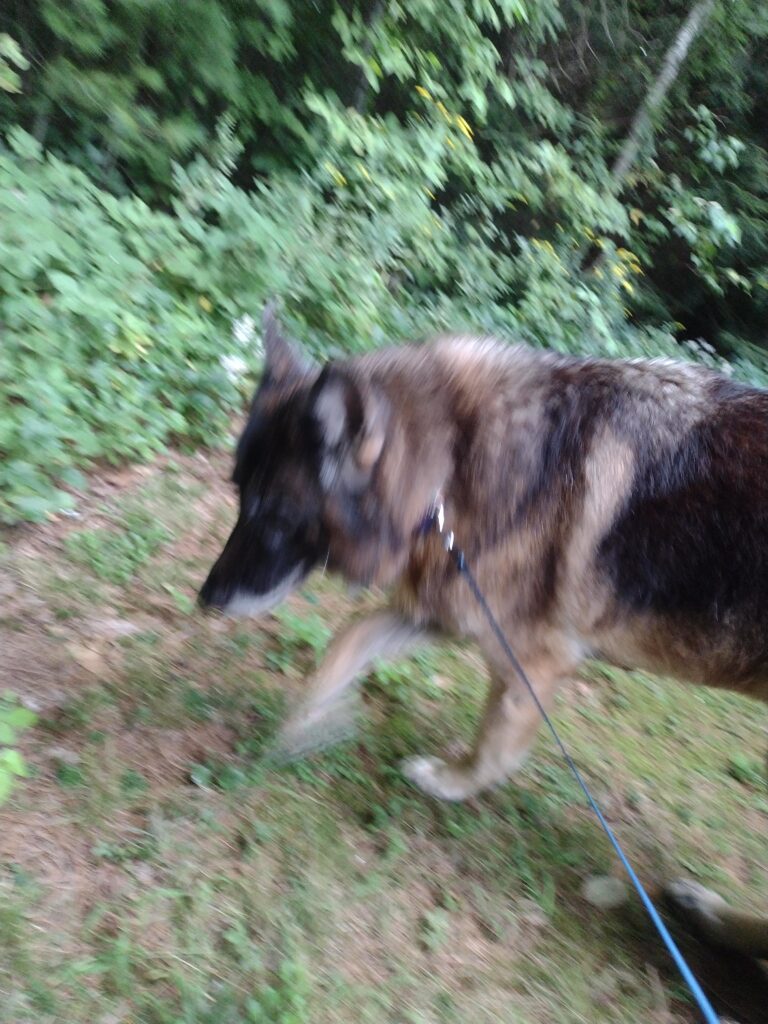 Walking In The Rain!