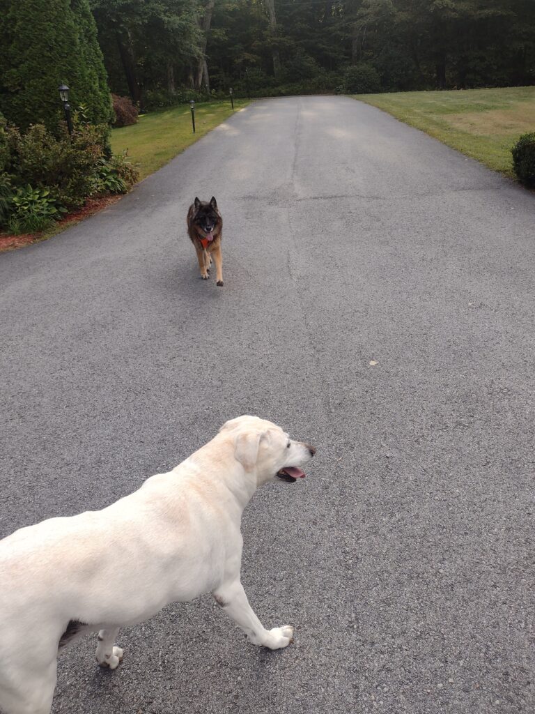 A Visit With A Friend!