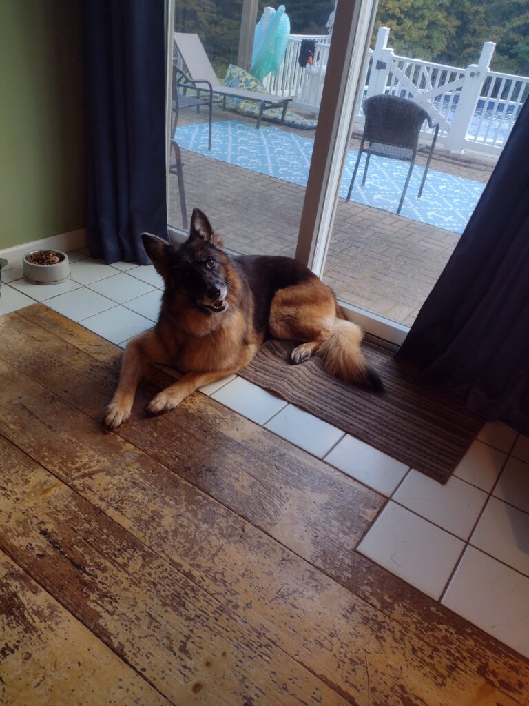 Nena Clearly Turns Heads!