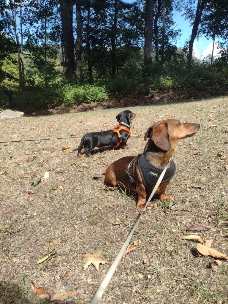 The Boys Embrace The Last Day Of Summer 😊