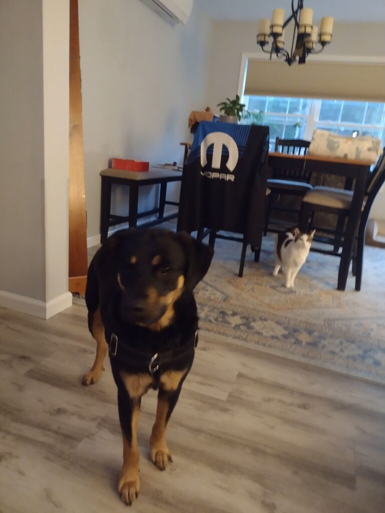 Dexter And Buddy Say Good Night