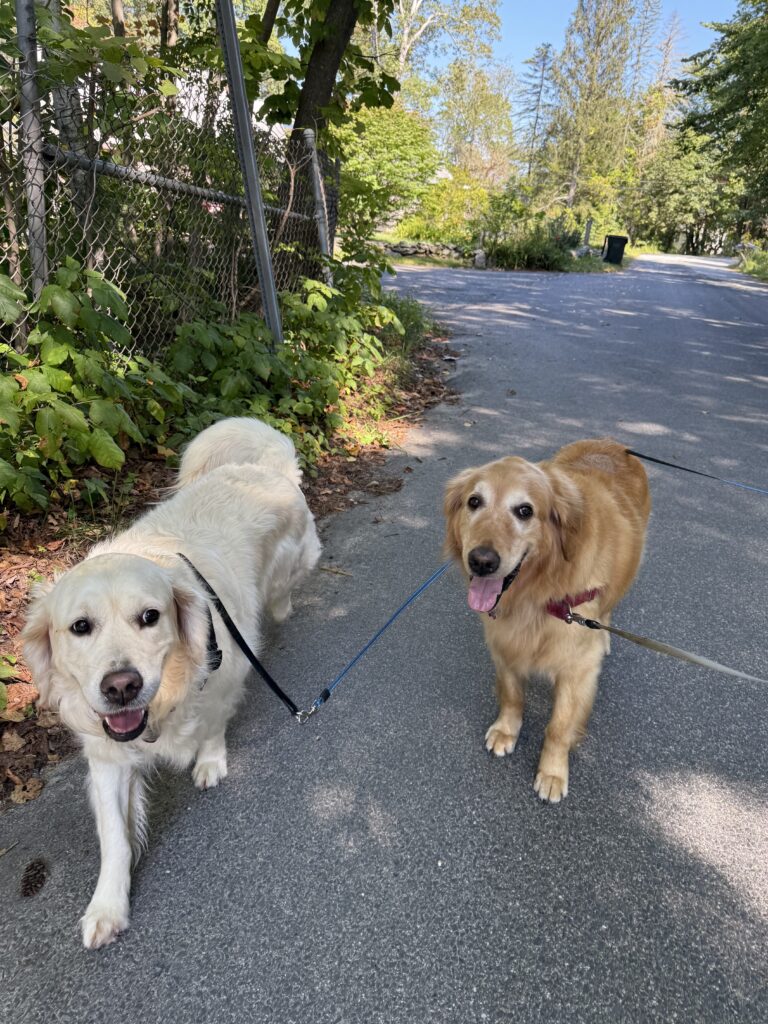 Best Buds