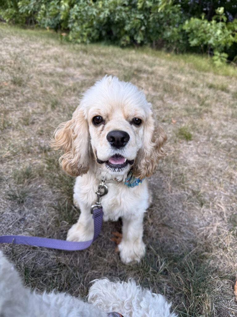 Happy Walk