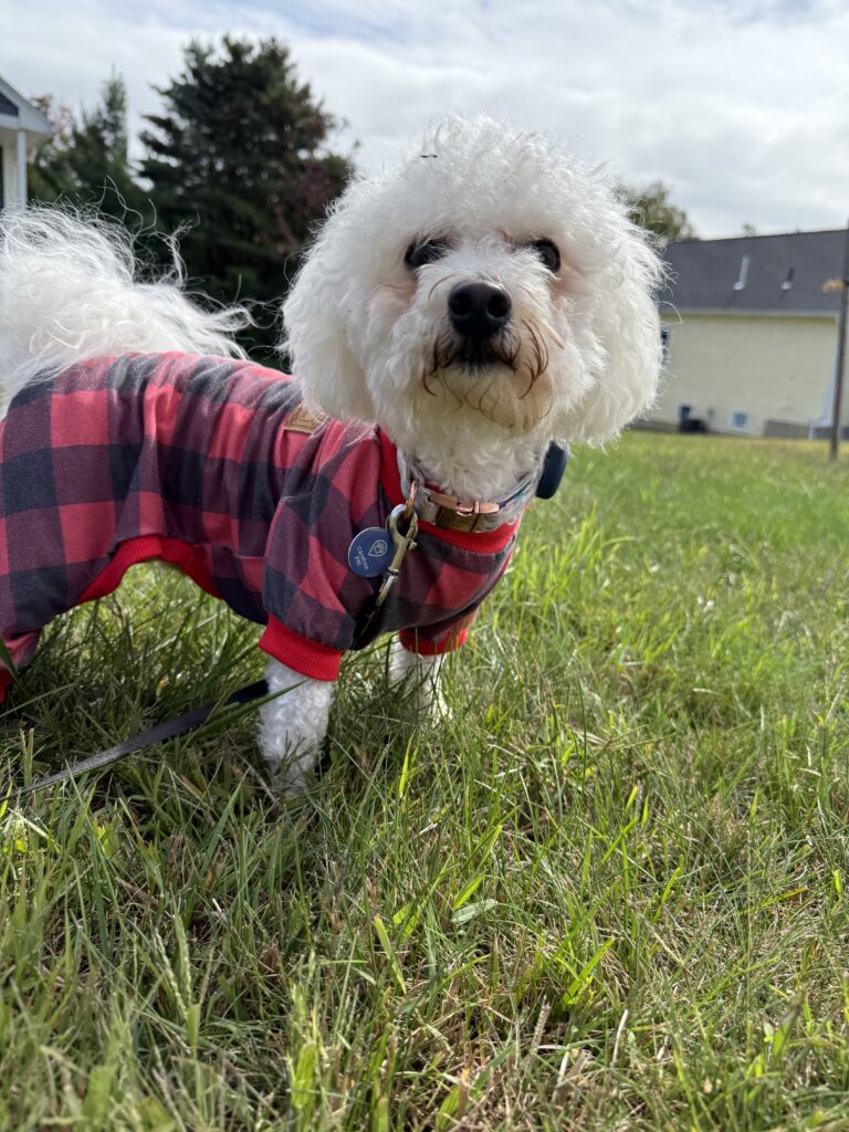 Matching Mylo