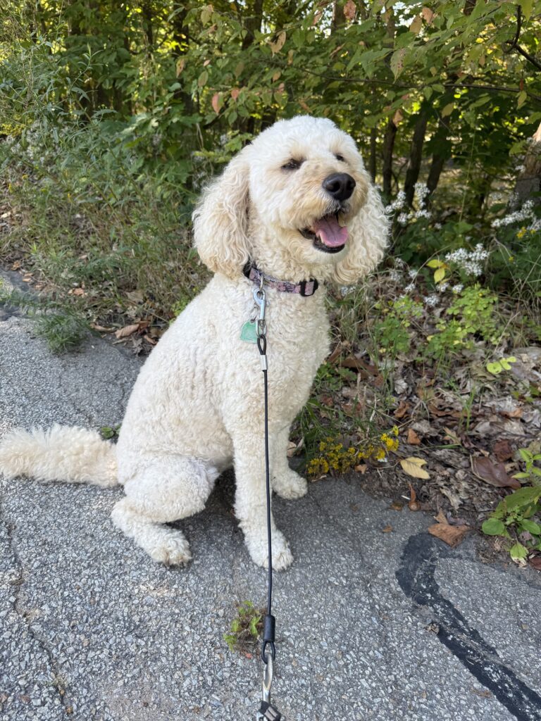 Crazy Friday Walk