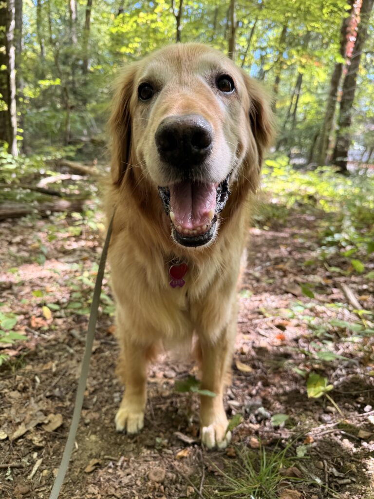 Tails N Trails