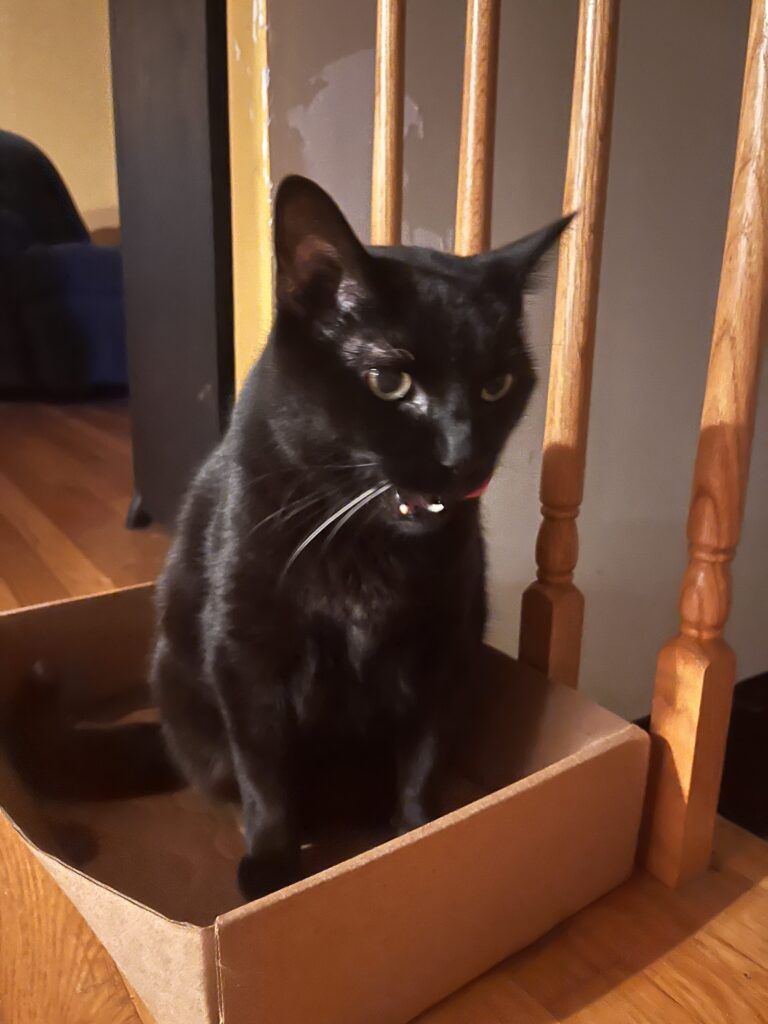 Play time !