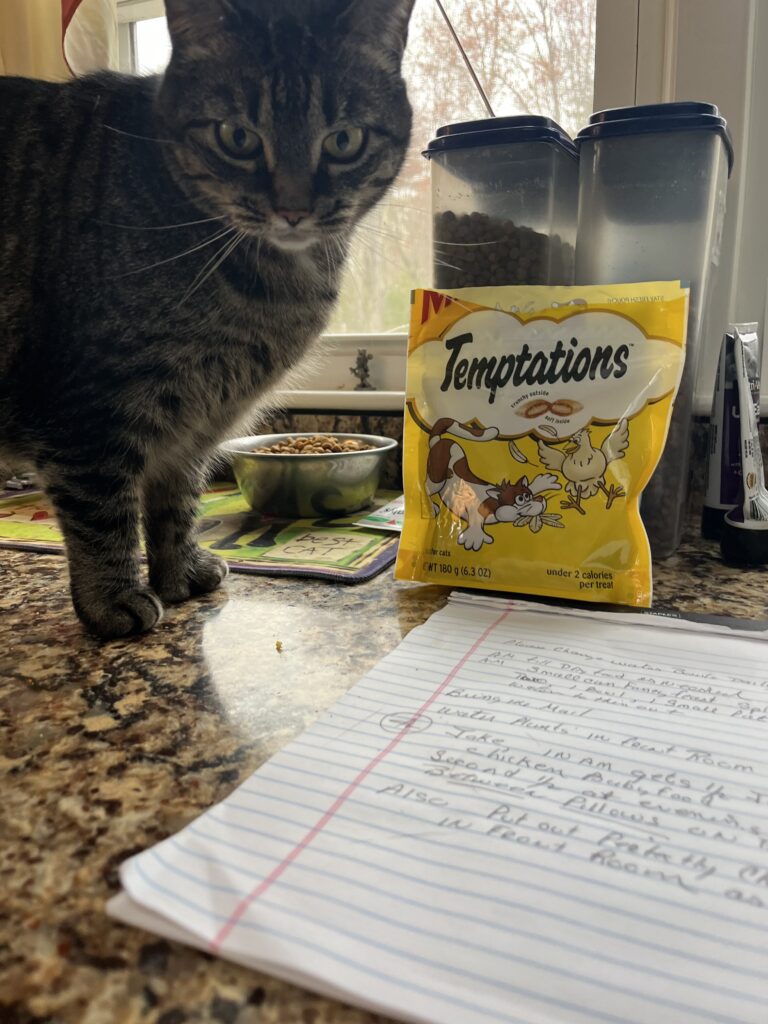 What A Purrfect Welcome !