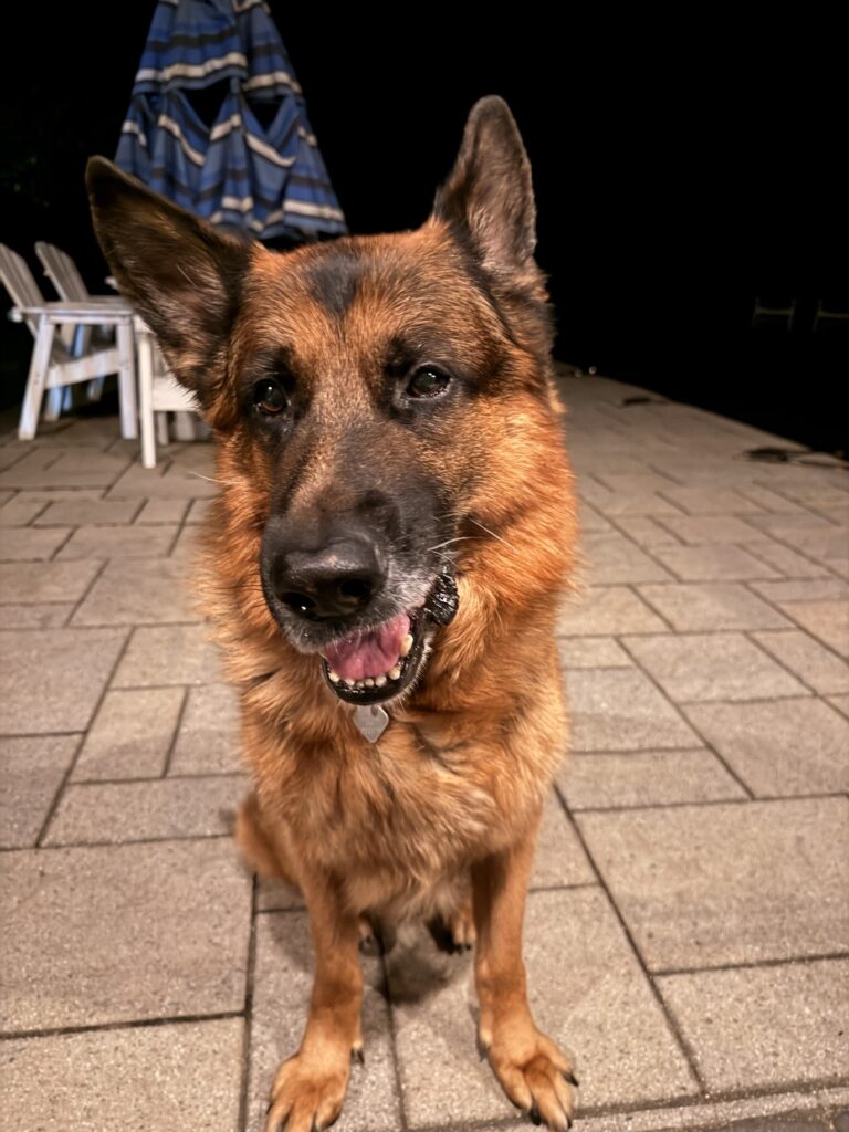 Happy Max