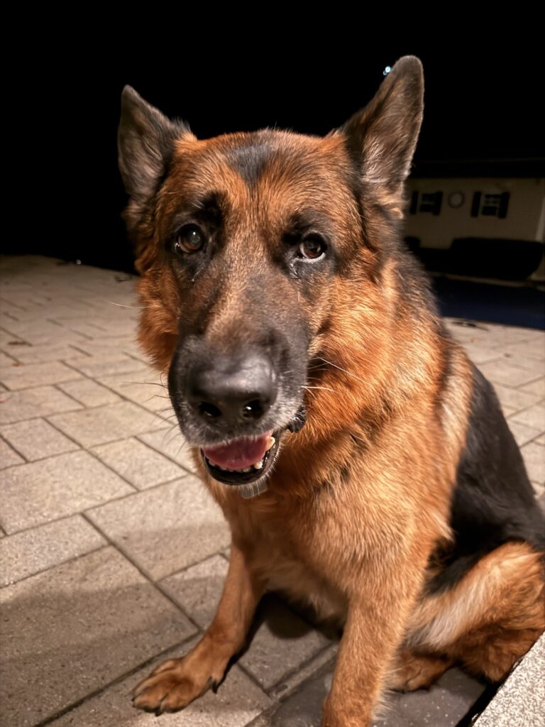 Master Max