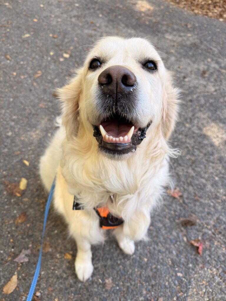Ms. Sunshine