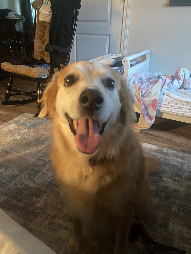 Vacation Mode 🐾🙈🛎️