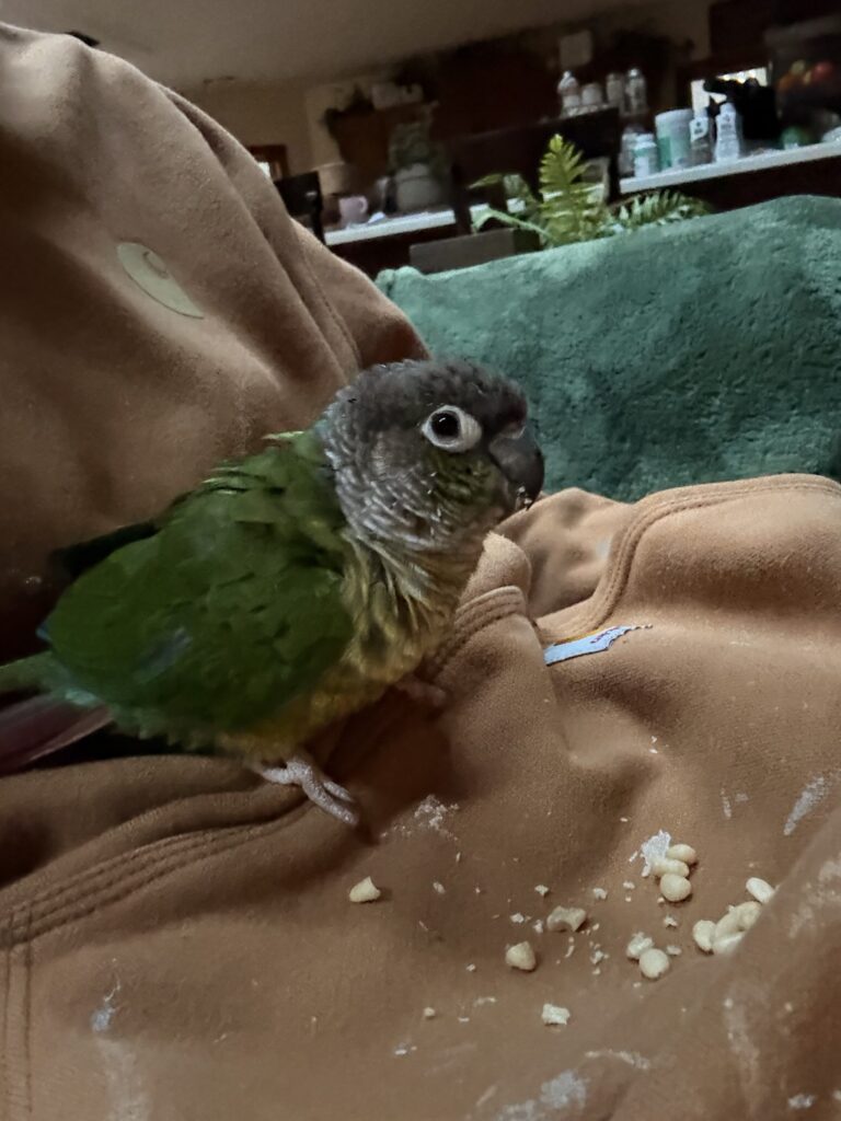 Rio Loves Treats