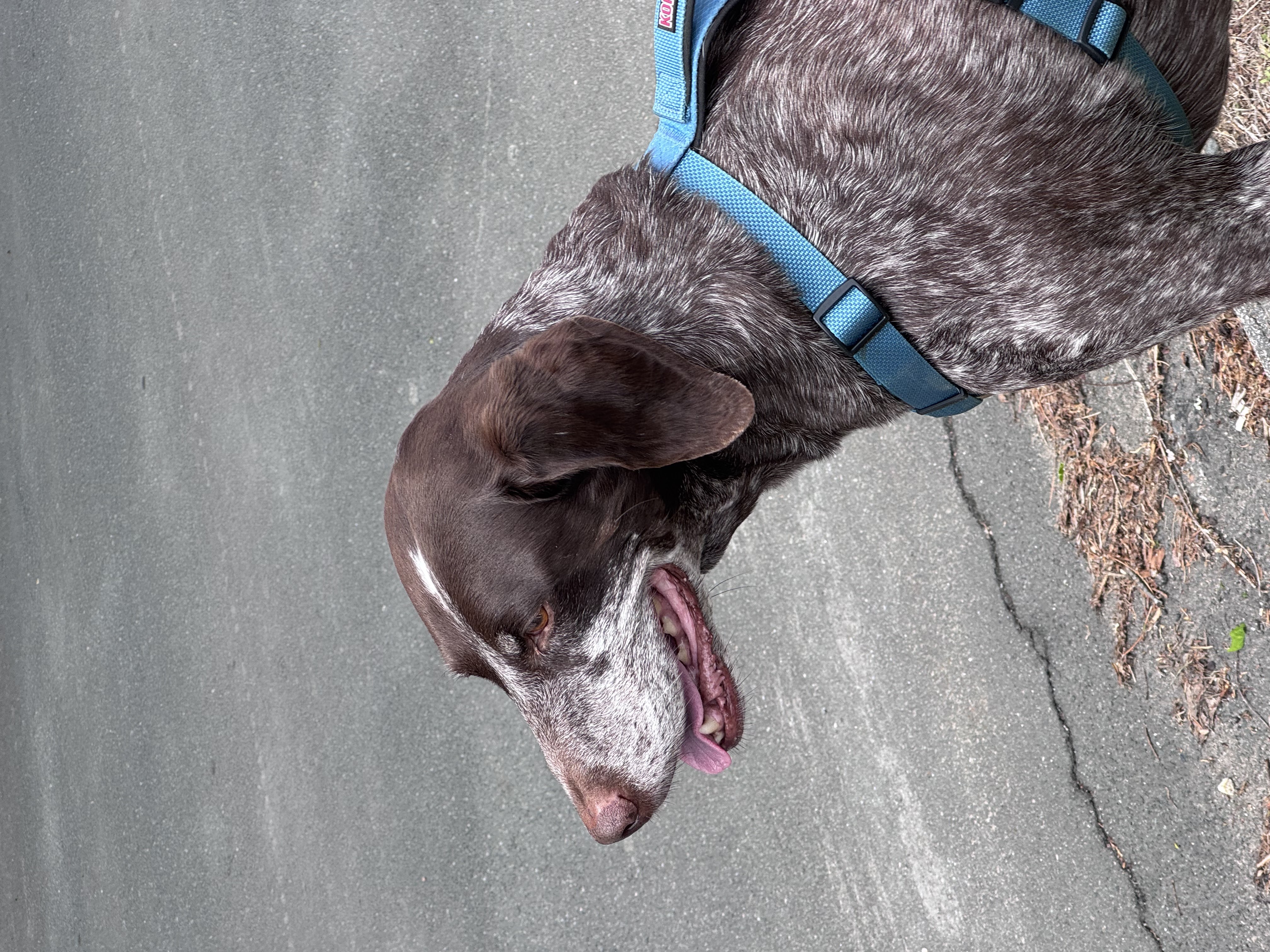 Stroll In’ On A Monday Afternoon