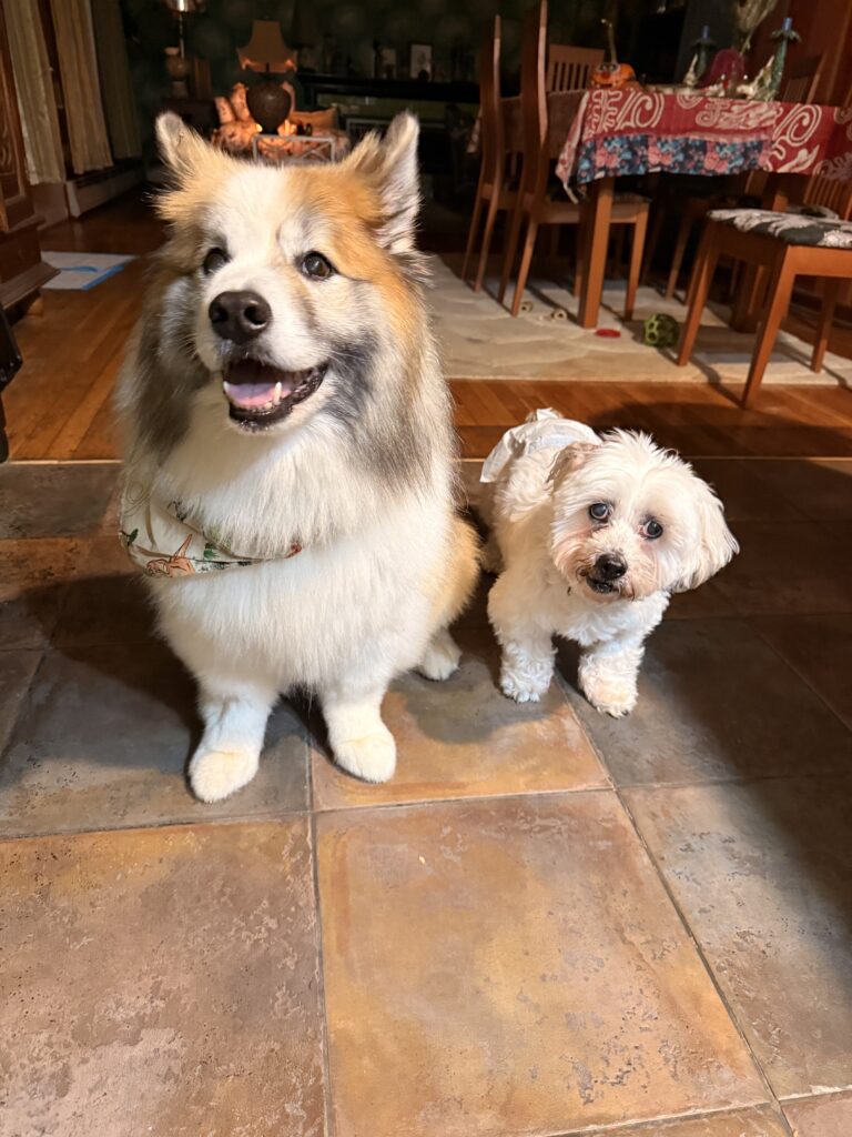 Dinner Time