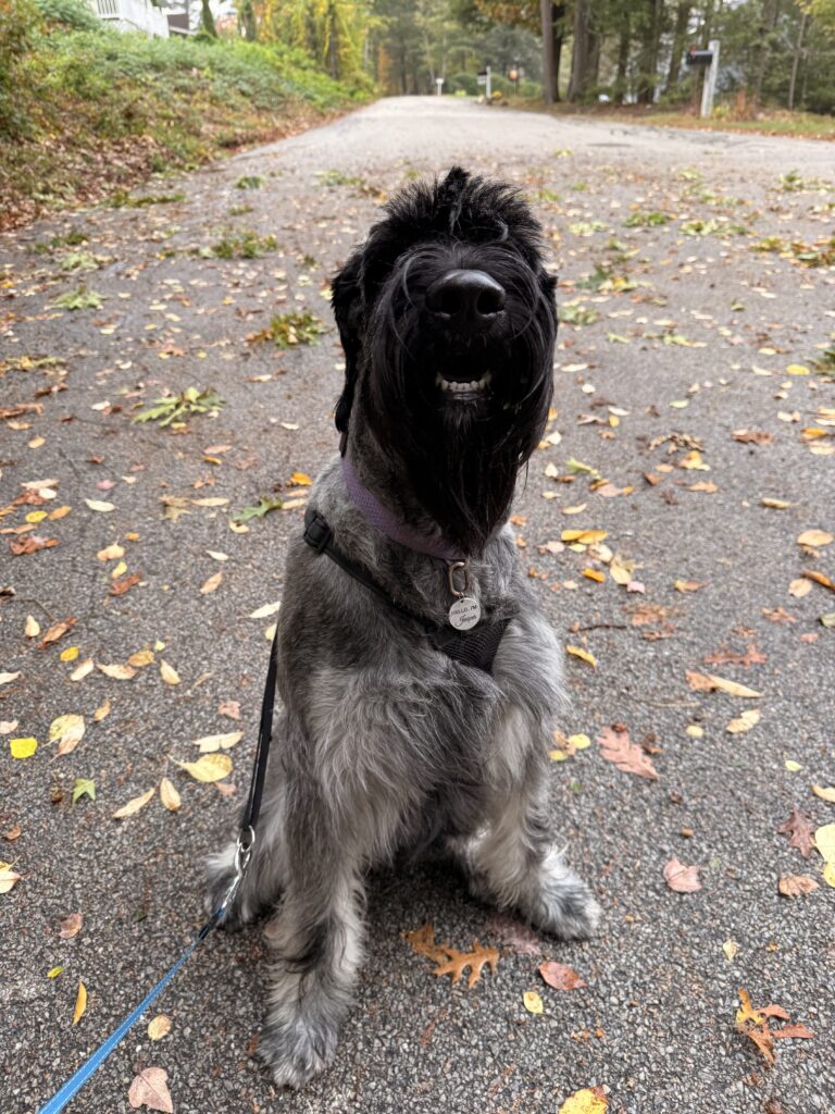 Distraction Walk