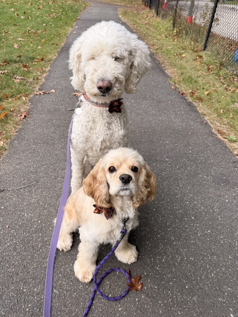 Squirrel Alert