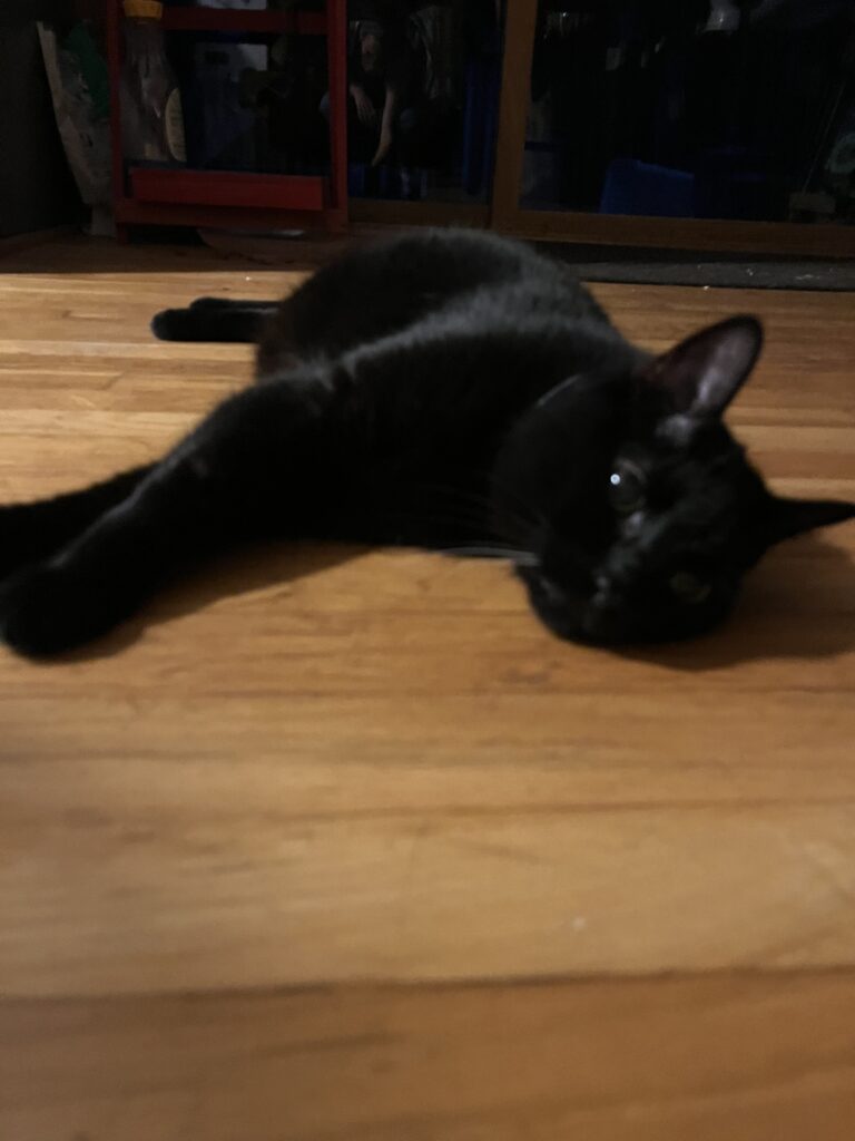Lounge time