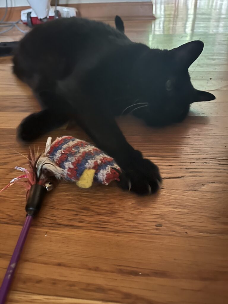 Lazy play time