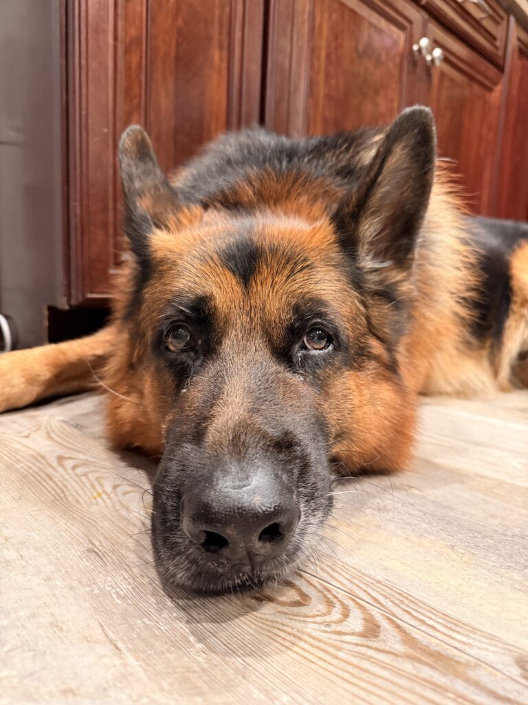 Sweet Face Max