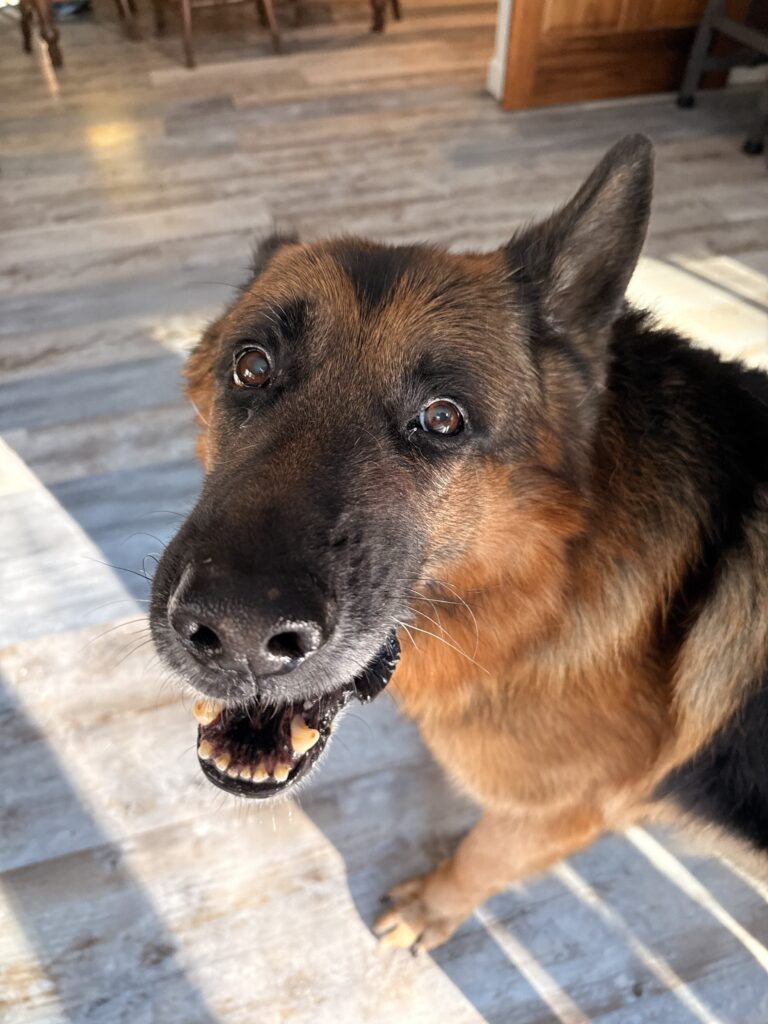 Crazy Eyes