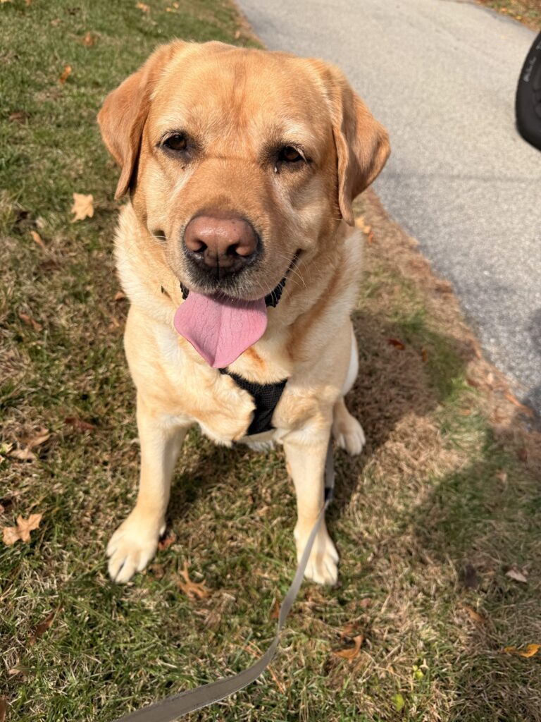 Charlie In Action