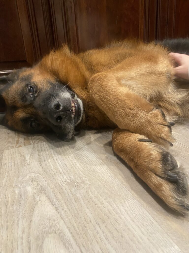 Full Of Snuggles 🥰 🤗