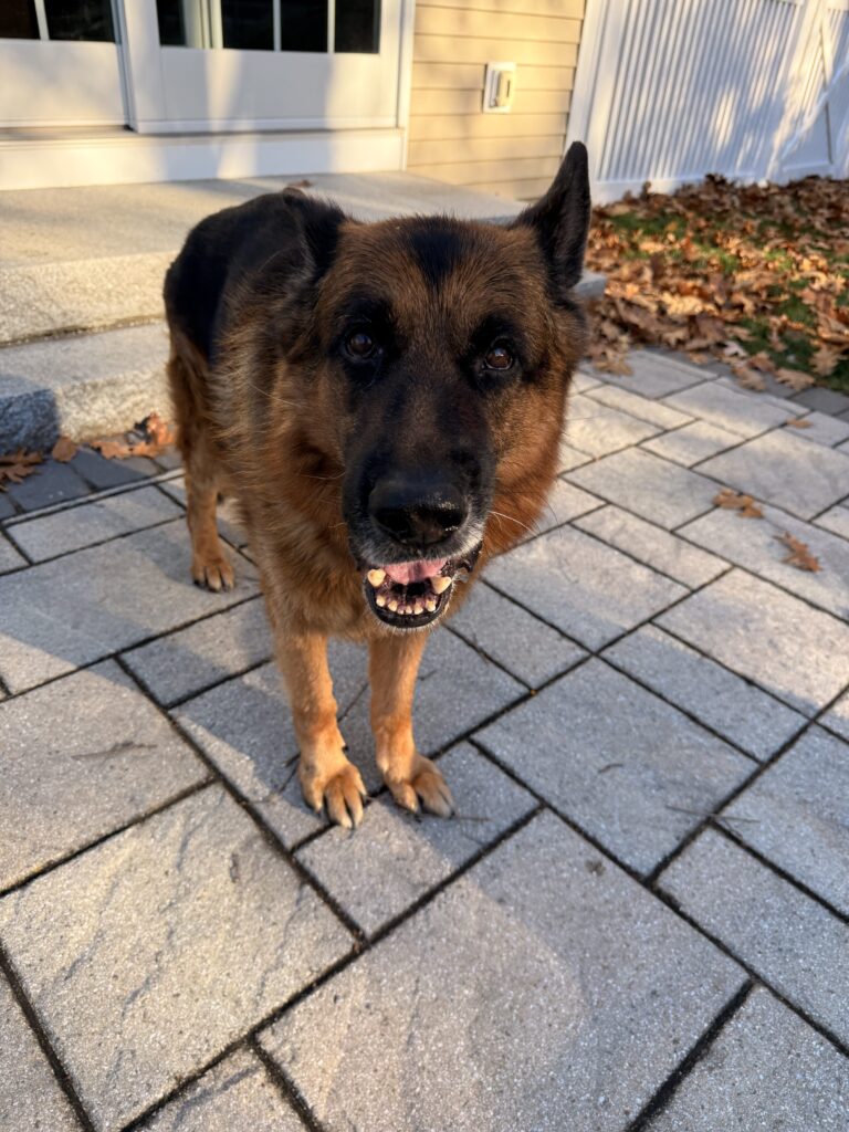 Big Boy Max
